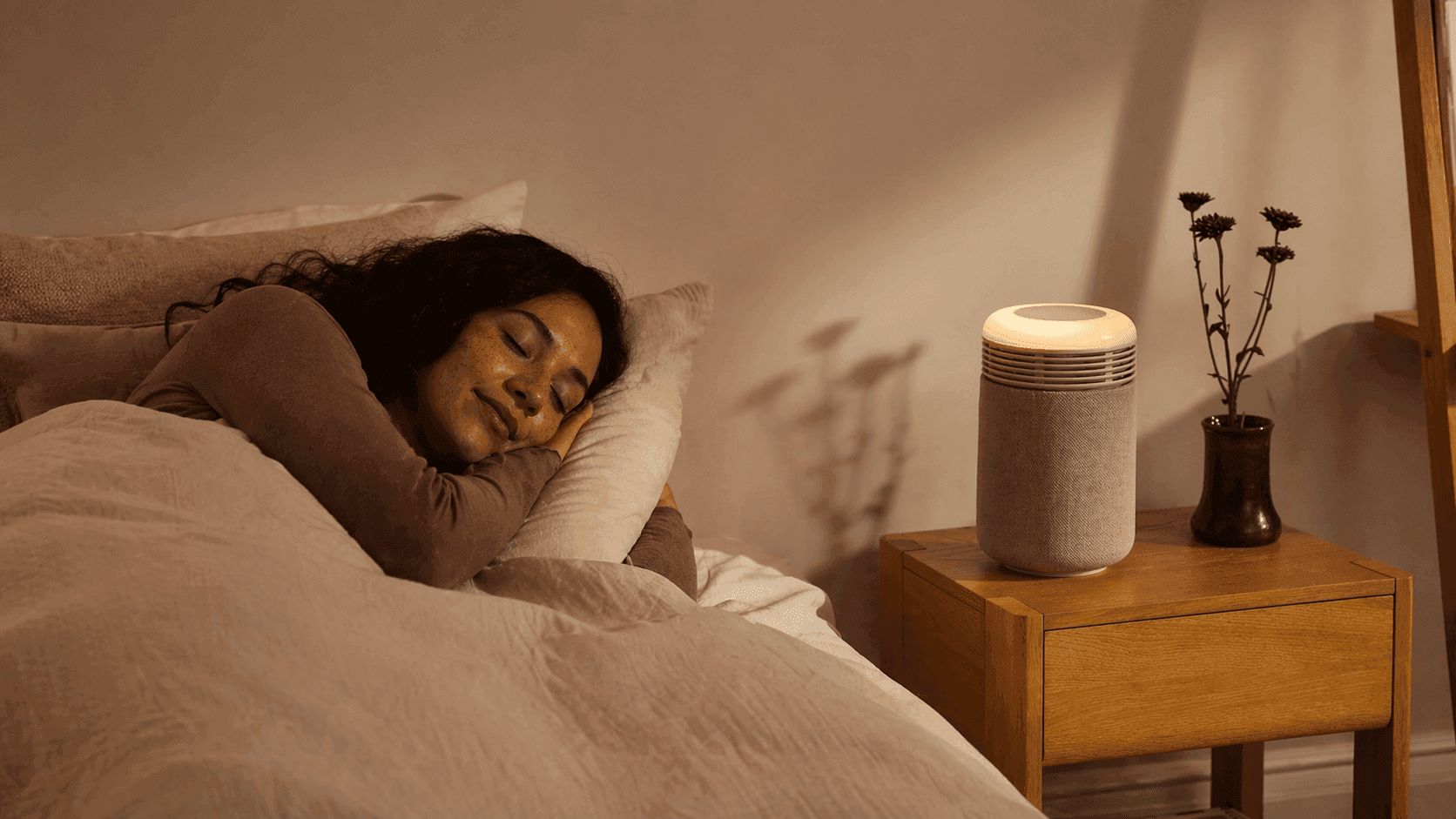 How BLUEAIR Air Purifier Improves Air Quality at Home